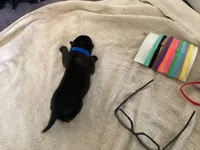 processed/fe347638-0a9a-4198-aa86-4a1d0b19ab3e/listing/74905627-ab6e-4261-acaf-150bcd84fbff/97283d65-9ae8-4d22-8dd7-148aeb3c82ba