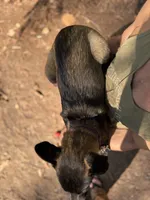 processed/fe347638-0a9a-4198-aa86-4a1d0b19ab3e/listing/80b74dd5-2de0-48e5-8521-477ef92960ff/426d368f-93a8-4a3d-bb4d-839b7c5721f7