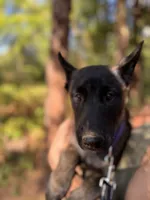 processed/fe347638-0a9a-4198-aa86-4a1d0b19ab3e/listing/80b74dd5-2de0-48e5-8521-477ef92960ff/4a6cf486-fa93-456c-be9f-b18980ec7782