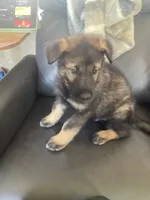 processed/fe347638-0a9a-4198-aa86-4a1d0b19ab3e/listing/9c6a9d00-dfca-4d47-a08b-6f10346b1421/7fec7c4b-eb48-4363-9050-311c664002f8