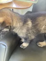 processed/fe347638-0a9a-4198-aa86-4a1d0b19ab3e/listing/9c6a9d00-dfca-4d47-a08b-6f10346b1421/ad975750-2572-4fb9-a778-37840bd60672