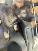 processed/fe347638-0a9a-4198-aa86-4a1d0b19ab3e/listing/9c6a9d00-dfca-4d47-a08b-6f10346b1421/af05955f-5bfd-4fed-ad08-e82f1c2c0bd3