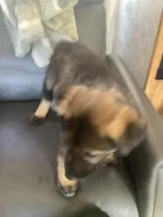 processed/fe347638-0a9a-4198-aa86-4a1d0b19ab3e/listing/9c6a9d00-dfca-4d47-a08b-6f10346b1421/f4a57e23-5812-4dfe-af71-199140df0f9e