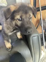 processed/fe347638-0a9a-4198-aa86-4a1d0b19ab3e/listing/9c6a9d00-dfca-4d47-a08b-6f10346b1421/f9eb3ca4-afbc-4eb1-a57f-0e7bc442594c