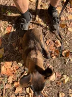 processed/fe347638-0a9a-4198-aa86-4a1d0b19ab3e/listing/ba2e0d24-b9d3-445d-8996-24e4e4cbf857/11249432-f98d-4d71-be3b-495f855d26b4