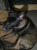 processed/fe347638-0a9a-4198-aa86-4a1d0b19ab3e/listing/ba2e0d24-b9d3-445d-8996-24e4e4cbf857/2f0c0de0-7b95-45bb-99d4-54cbb0dae01a