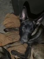 processed/fe347638-0a9a-4198-aa86-4a1d0b19ab3e/listing/ba2e0d24-b9d3-445d-8996-24e4e4cbf857/f8e26e0c-9ee5-40cf-b444-91f1415e6b44