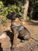 processed/fe347638-0a9a-4198-aa86-4a1d0b19ab3e/listing/ba2e0d24-b9d3-445d-8996-24e4e4cbf857/f9fa0195-44f0-43a4-b623-95c146fef864