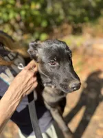 processed/fe347638-0a9a-4198-aa86-4a1d0b19ab3e/listing/bf7419e6-0864-4d14-bf84-6deb92e7d54a/17ce86c8-ef49-4613-a305-c23ed0d20f76