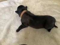 processed/fe347638-0a9a-4198-aa86-4a1d0b19ab3e/listing/bf7419e6-0864-4d14-bf84-6deb92e7d54a/3d1eebb6-7fd7-47e4-a049-e70360b47f9d