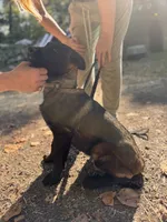 processed/fe347638-0a9a-4198-aa86-4a1d0b19ab3e/listing/bf7419e6-0864-4d14-bf84-6deb92e7d54a/8067e0ad-f23b-4bfe-8a4e-c012d1aeca86