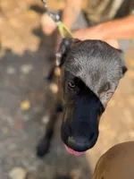 processed/fe347638-0a9a-4198-aa86-4a1d0b19ab3e/listing/ef983c9d-a015-4cce-b17b-7ecb99ce3d48/032891a6-5c29-4ebf-82de-74f3729562e1