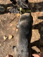 processed/fe347638-0a9a-4198-aa86-4a1d0b19ab3e/listing/ef983c9d-a015-4cce-b17b-7ecb99ce3d48/4c8178d1-12a5-4a15-8f60-f3f6bfff02a1