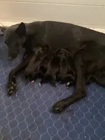 processed/fe347638-0a9a-4198-aa86-4a1d0b19ab3e/listing/ef983c9d-a015-4cce-b17b-7ecb99ce3d48/d068596d-548d-42e8-bdb7-5ca0886491df