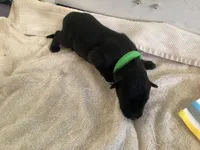 processed/fe347638-0a9a-4198-aa86-4a1d0b19ab3e/listing/ef983c9d-a015-4cce-b17b-7ecb99ce3d48/f8123142-3c3d-4eb6-893e-5a151bb5101f