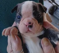 processed/fe34cd64-d381-47da-9739-cf19ee4c5070/listing/799e66a6-bf7c-4762-a0f7-18fc218090d4/264b4dff-2cf6-4de2-a07a-063c84308b40