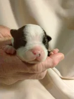 processed/fe34cd64-d381-47da-9739-cf19ee4c5070/listing/799e66a6-bf7c-4762-a0f7-18fc218090d4/ddf46453-09a7-418f-87db-7e5239ed92f4