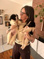 processed/fe515ceb-7039-406d-82b6-78a5c689c259/listing/c19f08a5-3878-4292-b086-6c7481a3bbbd/1b601f23-5645-4be7-97e0-61cd81441c33