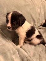 processed/fe515ceb-7039-406d-82b6-78a5c689c259/listing/c19f08a5-3878-4292-b086-6c7481a3bbbd/c2290660-3fa2-4377-b4b5-70b4b1a9ee5e