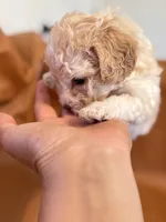 processed/fe53ddb1-2c4f-4022-a23e-310f696be475/listing/173fa21f-5ae9-4cf6-b54b-26c766beee67/3aa7800a-f82f-44b3-8739-4263cc4c86ba