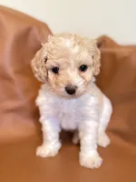 processed/fe53ddb1-2c4f-4022-a23e-310f696be475/listing/173fa21f-5ae9-4cf6-b54b-26c766beee67/58f15257-25b5-489a-84c6-439706a2bf00