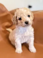 processed/fe53ddb1-2c4f-4022-a23e-310f696be475/listing/173fa21f-5ae9-4cf6-b54b-26c766beee67/5b42fe44-9470-4af0-b184-93a2a6001f5e