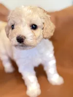 processed/fe53ddb1-2c4f-4022-a23e-310f696be475/listing/173fa21f-5ae9-4cf6-b54b-26c766beee67/a206bde7-e6a8-47ca-90e9-a001950e103f