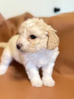 processed/fe53ddb1-2c4f-4022-a23e-310f696be475/listing/173fa21f-5ae9-4cf6-b54b-26c766beee67/ad07bc24-e51d-462e-a423-930b19d6ddad