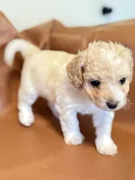 processed/fe53ddb1-2c4f-4022-a23e-310f696be475/listing/173fa21f-5ae9-4cf6-b54b-26c766beee67/d8c9f65a-cf00-45b5-ba0e-d7bdc7395655