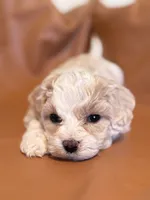 processed/fe53ddb1-2c4f-4022-a23e-310f696be475/listing/229e4c25-f21b-4561-b3ab-1bd37eca8db5/88b4638f-d7a5-4c3e-a158-9ce0a1d5c197