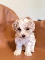 processed/fe53ddb1-2c4f-4022-a23e-310f696be475/listing/229e4c25-f21b-4561-b3ab-1bd37eca8db5/df3065d1-c7e5-4ca9-a261-e628a8519050