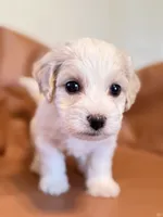 processed/fe53ddb1-2c4f-4022-a23e-310f696be475/listing/24b35389-eba1-4568-a8ae-0907226f7a82/0efc5832-9e39-4a51-9577-ac394ef1f297