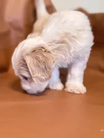 processed/fe53ddb1-2c4f-4022-a23e-310f696be475/listing/24b35389-eba1-4568-a8ae-0907226f7a82/914b4ced-26df-45ce-9553-41bd1b086eea