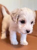 processed/fe53ddb1-2c4f-4022-a23e-310f696be475/listing/24b35389-eba1-4568-a8ae-0907226f7a82/9d10f876-4c4d-418d-bcd4-baf2ca7405aa