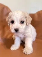 processed/fe53ddb1-2c4f-4022-a23e-310f696be475/listing/24b35389-eba1-4568-a8ae-0907226f7a82/afd72e8b-446d-4a63-93d7-d82c25e263a1