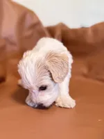 processed/fe53ddb1-2c4f-4022-a23e-310f696be475/listing/24b35389-eba1-4568-a8ae-0907226f7a82/b2643b63-cee1-4dba-a9fb-306426fa791b