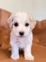 processed/fe53ddb1-2c4f-4022-a23e-310f696be475/listing/24b35389-eba1-4568-a8ae-0907226f7a82/ec70a761-c80b-416c-9f59-ce69d444bceb