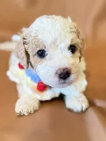 processed/fe53ddb1-2c4f-4022-a23e-310f696be475/listing/7eadef3b-1c69-46d9-af34-01019af93317/0e1032ee-aaf9-4616-963c-3377b68a71a3