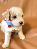 processed/fe53ddb1-2c4f-4022-a23e-310f696be475/listing/7eadef3b-1c69-46d9-af34-01019af93317/39a1557d-0347-472d-979b-5763f84020c8