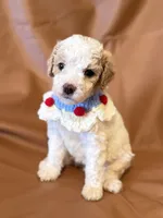 processed/fe53ddb1-2c4f-4022-a23e-310f696be475/listing/7eadef3b-1c69-46d9-af34-01019af93317/59f8a71a-1243-49ca-ae0c-521a862b3495