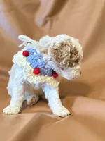 processed/fe53ddb1-2c4f-4022-a23e-310f696be475/listing/7eadef3b-1c69-46d9-af34-01019af93317/de9aab5b-f9b3-46de-b34d-4c9d10e8ea49