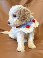 processed/fe53ddb1-2c4f-4022-a23e-310f696be475/listing/7eadef3b-1c69-46d9-af34-01019af93317/e95b09f7-824f-43bb-8378-12a45b5ba379