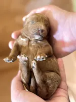 processed/fe53ddb1-2c4f-4022-a23e-310f696be475/listing/a27582aa-c7a2-4881-8102-5d9ada8eecbf/0c12d1fe-7f35-47f3-9a19-2605eb05e282