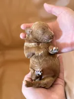 processed/fe53ddb1-2c4f-4022-a23e-310f696be475/listing/a27582aa-c7a2-4881-8102-5d9ada8eecbf/13badf1a-181c-4b8f-bba8-dd210db9df8e