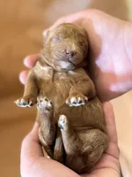 processed/fe53ddb1-2c4f-4022-a23e-310f696be475/listing/a27582aa-c7a2-4881-8102-5d9ada8eecbf/3cb8b291-eeca-4e2d-93fd-019a542a8a15