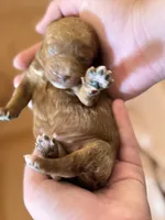 processed/fe53ddb1-2c4f-4022-a23e-310f696be475/listing/a27582aa-c7a2-4881-8102-5d9ada8eecbf/b4d0755e-9502-4630-9232-e93dd3dd0f10