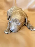 processed/fe53ddb1-2c4f-4022-a23e-310f696be475/listing/a27582aa-c7a2-4881-8102-5d9ada8eecbf/e3e94d0d-c0bb-4389-8577-d9979a9b2e28