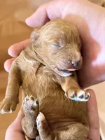 processed/fe53ddb1-2c4f-4022-a23e-310f696be475/listing/a27582aa-c7a2-4881-8102-5d9ada8eecbf/edd08b62-8c03-46ca-ba35-b7db1701ec11