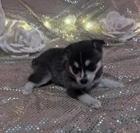 processed/fe545755-7fe2-4dfa-8c06-e3fff946b346/listing/141df5b7-d7a2-4cd8-9d88-640be34e73da/04bf73af-a37f-42ba-a025-b793dc3907a1