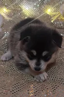 processed/fe545755-7fe2-4dfa-8c06-e3fff946b346/listing/b257ea59-1f87-47b6-b39c-9bdb1ae0ed53/2e90dcad-50d1-49d9-8e85-a75d4e213054